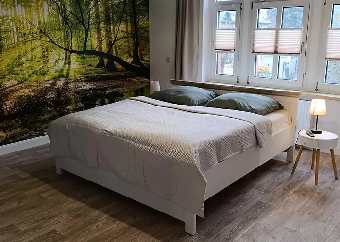 Harzbrise - Ferienwohnung Mit Sauna, Smarthome, Wallbox Ballenstedt photo