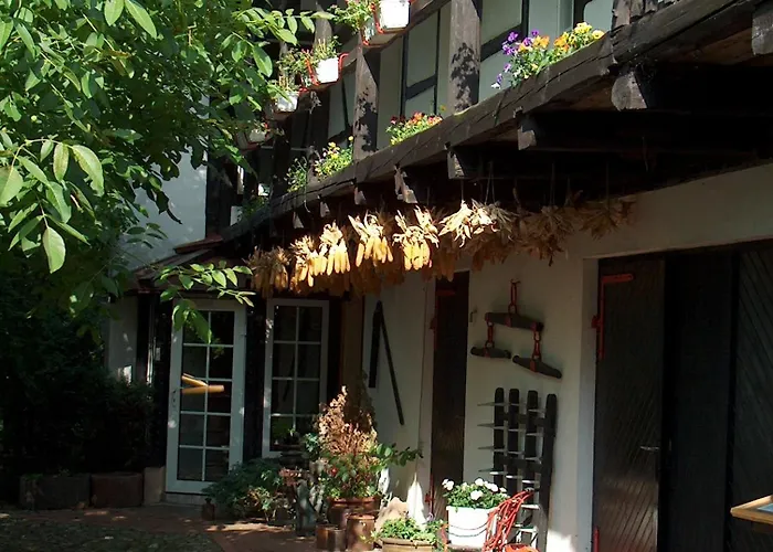 Hotel Garni & Oma'S Heuhotel 'Pension Zur Galerie' Barby zdjęcie