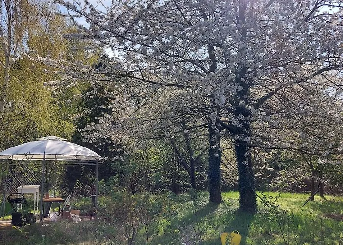 Der Konikhof, Natur, Ruhe, R-Auszeit Baben photo