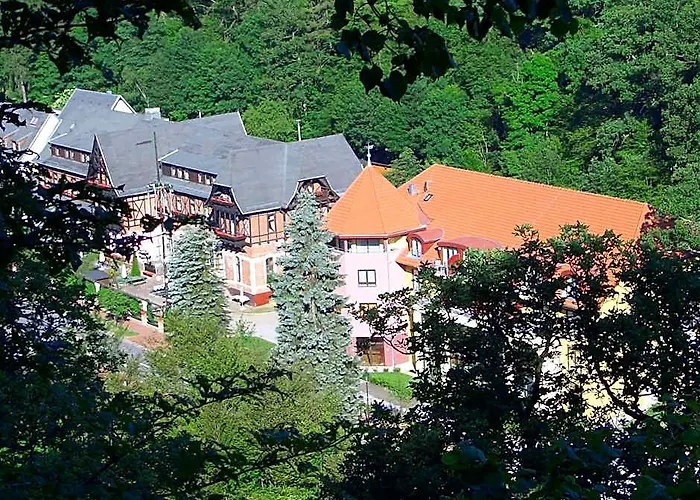 Photo de Hotel Habichtstein Harzgerode